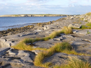 Flaggy shore