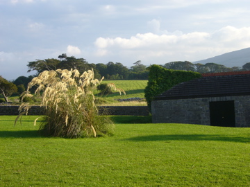 Ballyvaughan view