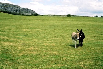 Ireland: Gleninagh Valley